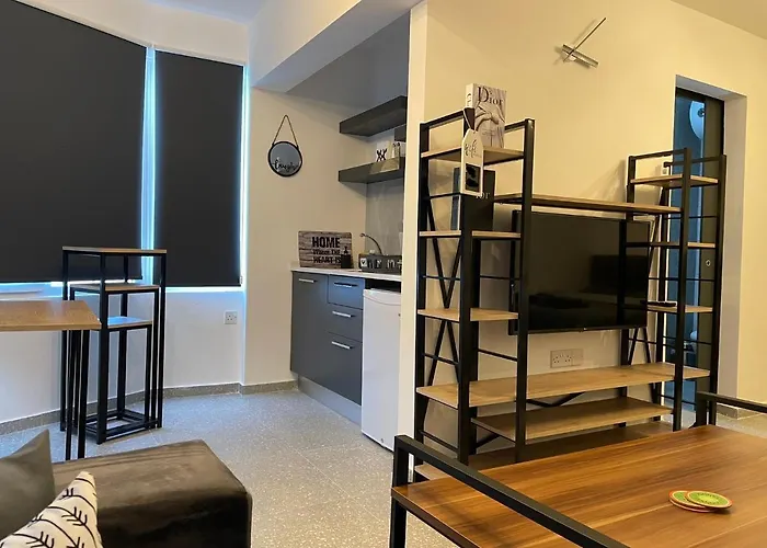 Mr. In Ortakoy , North + Wifi + Netflix Apartamento
